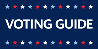 Blue horizontal rectangle with a line of alternating red, white, and light blue stars at the top and bottom with the following text in the center: Voting Guide
