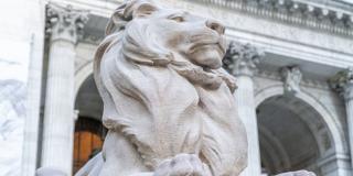 Photo of marble lion in front of the facade of the Stephen A. Schwarzman building