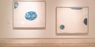 Two framed images, showing blue circles on white backgrounds.