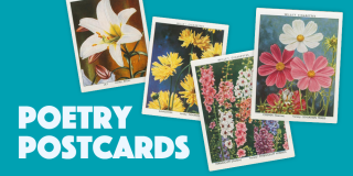 Colorful flower illustrations on a teal background with text reading: Poetry Postcards.