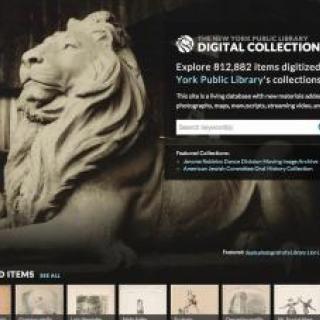 Screenshot of the Digital Collections featuring a marble lion statue.