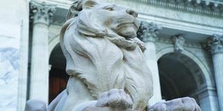 Statue of lion in front of library